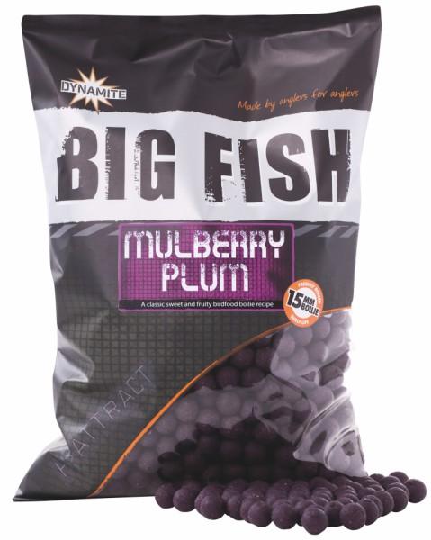 Dynamite Baits Boilies Big Fish Mulberry Plum 15 mm 1