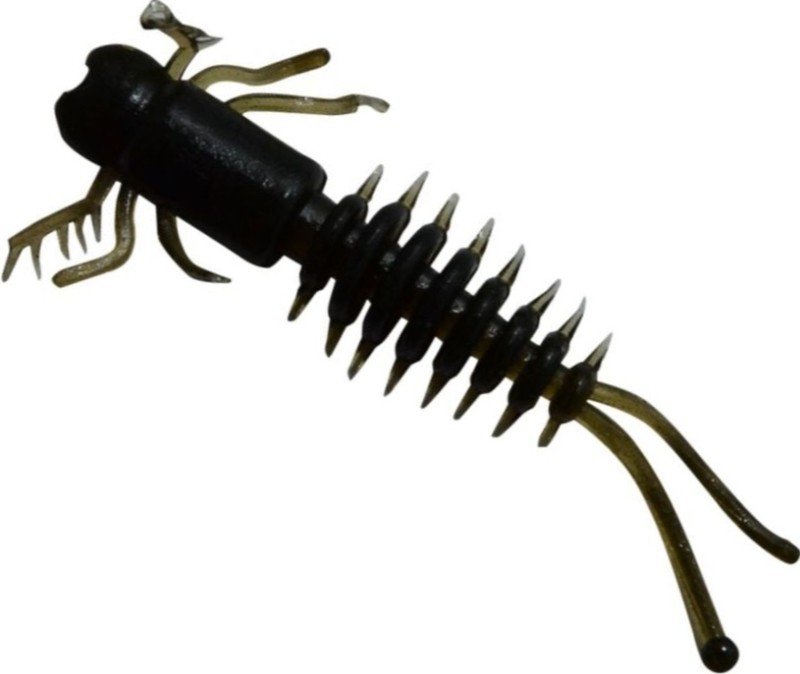 Nymfa Predátor-Z Centipede Killer - 10 ks/4 cm